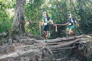 BIB: 
                            <button type="button" onclick="openModal(27744831)" class="btn btn-primary btn-sm float-right btn-popup" data-toggle="modal" data-target=".modal-high-quality">
                        <i class="fas fa-shopping-cart"></i> Add to Cart
                    </button>
                                            <button type="button" onclick="isThisMe(27744831, true)" class="btn btn-success btn-sm float-right btn-popup btn-isme hidden" data-toggle="tooltip" data-placement="bottom" title="นี่คือรูปของคุณใช่ไหม คลิกที่นี่เพื่อเอาเข้าอัลบั้ม">
                        <i class="fas fa-plus"></i> Add to album
                    </button>
                    <button type="button" onclick="isThisMe(27744831, false)" class="btn btn-warning btn-sm float-right btn-popup btn-isnotme hidden">
                        <i class="fas fa-ban"></i> Remove from album
                    </button>